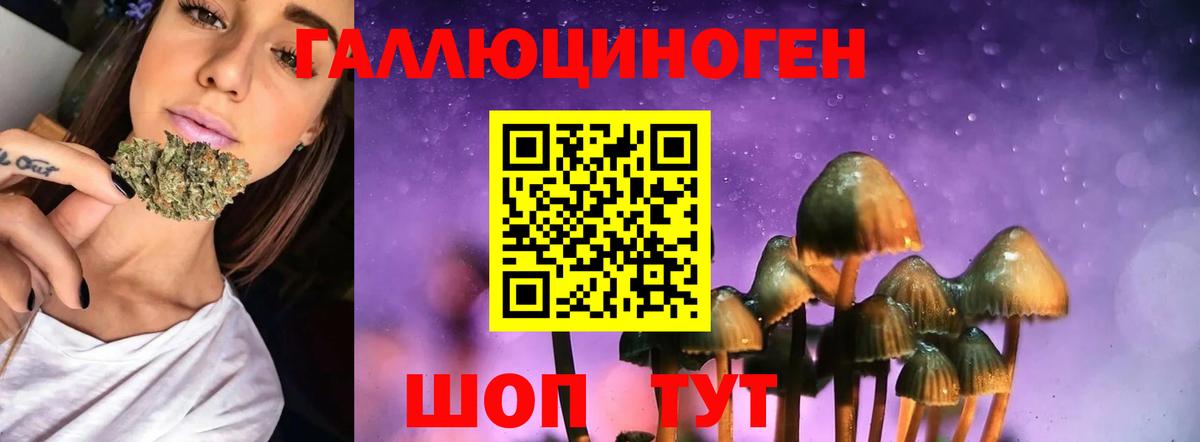 Псилоцибиновые грибы Magic Shrooms Гусиноозёрск